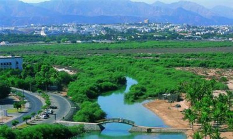 منطقه صلاله در عمان