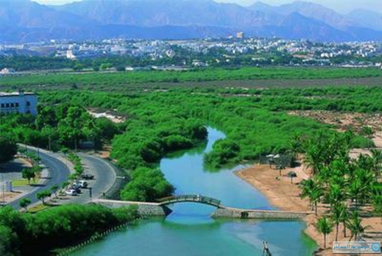 منطقه صلاله در عمان