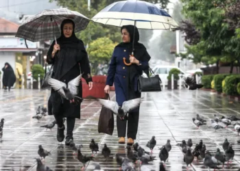 هوای ایران سرد می‌شود | بارش‌های شمال ادامه دارد