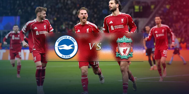 ساعت بازی لیورپول و برایتون | نگاهی به آمار و وضعیت دو تیم پیش از بازی